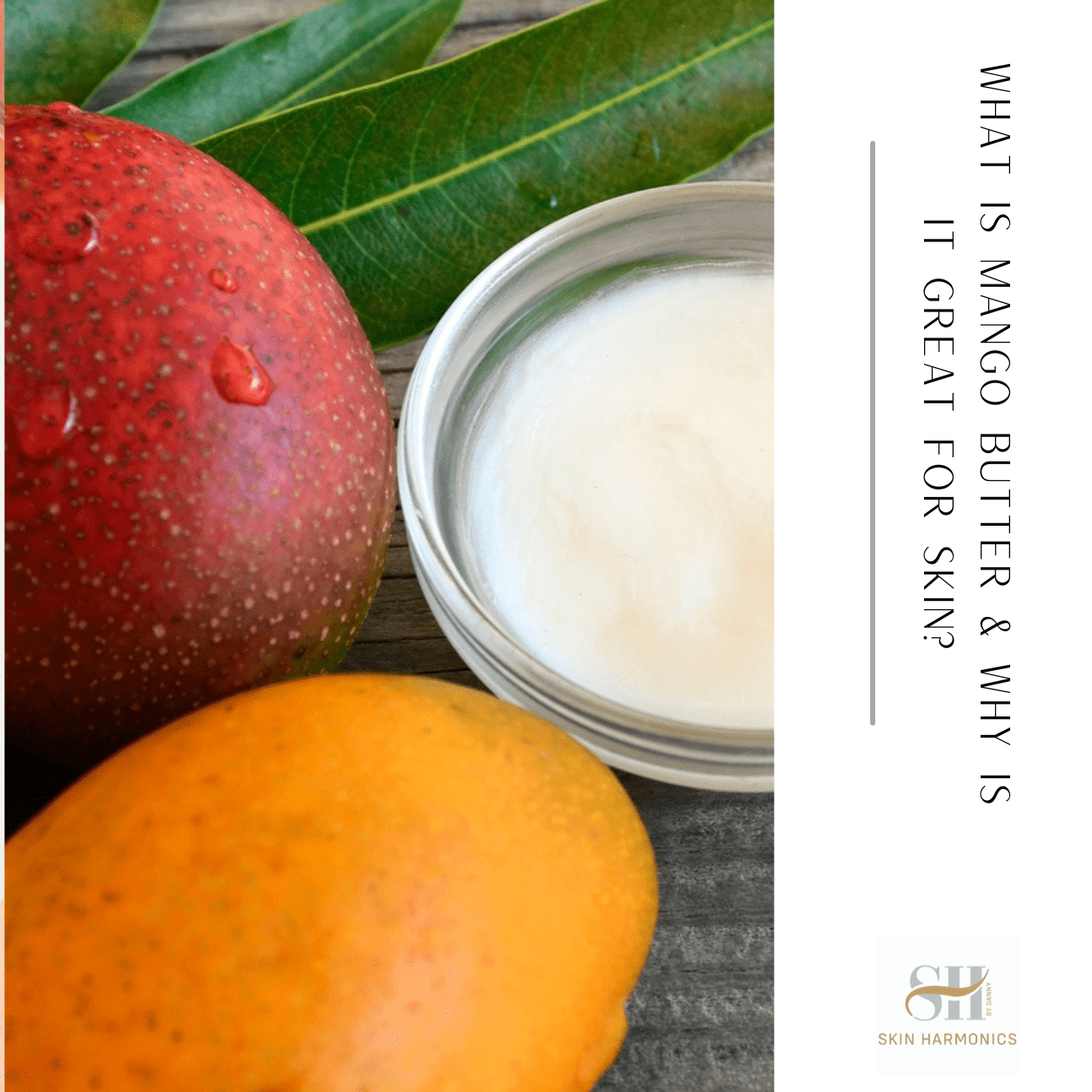 What Is Mango Butter?