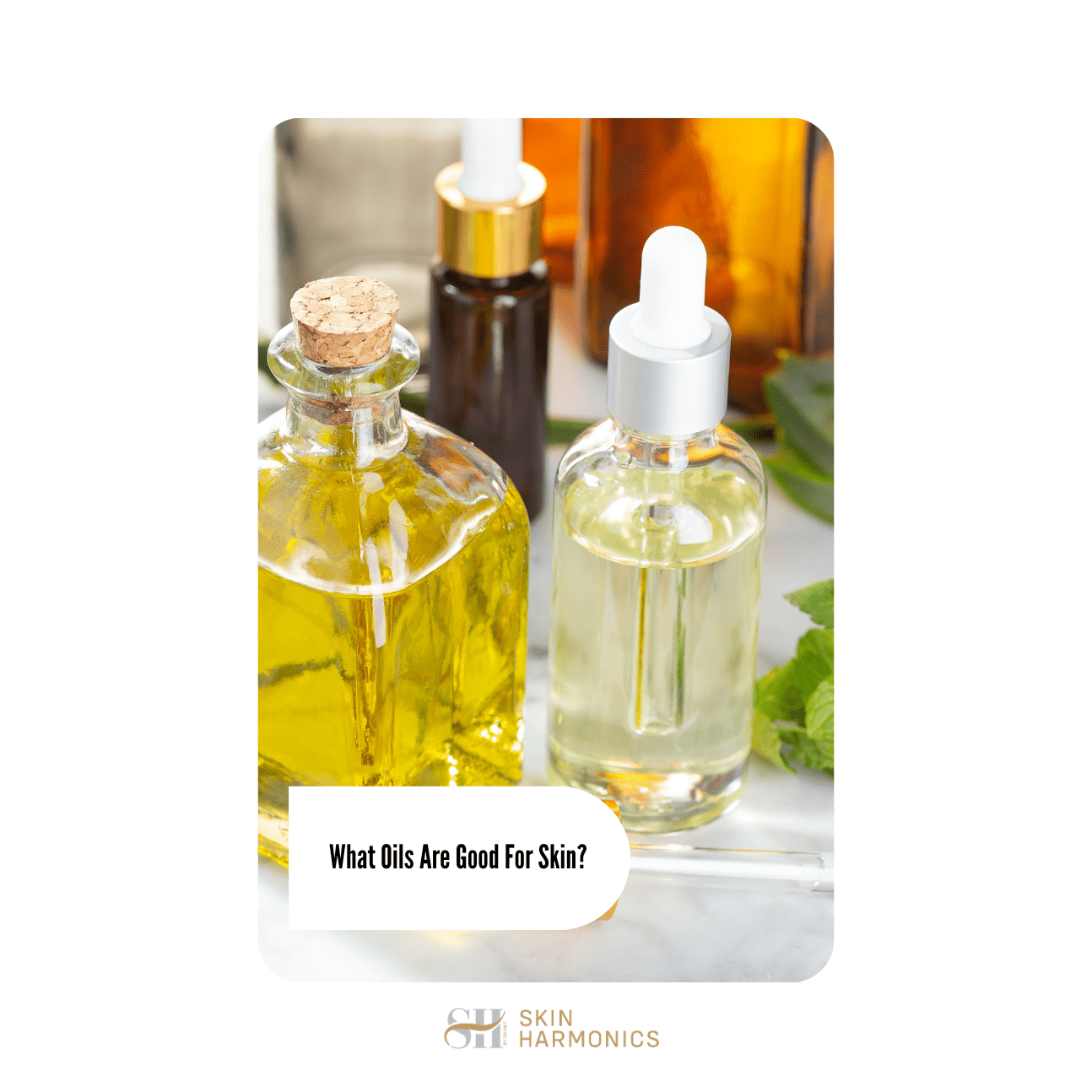 What Oils Are Good For Skin?