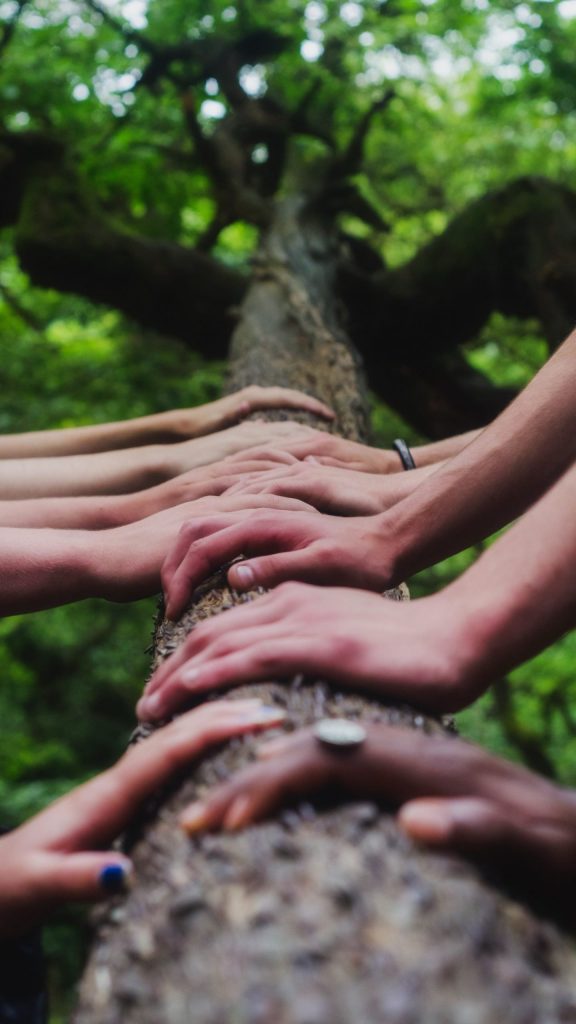 hands on a tree trunk